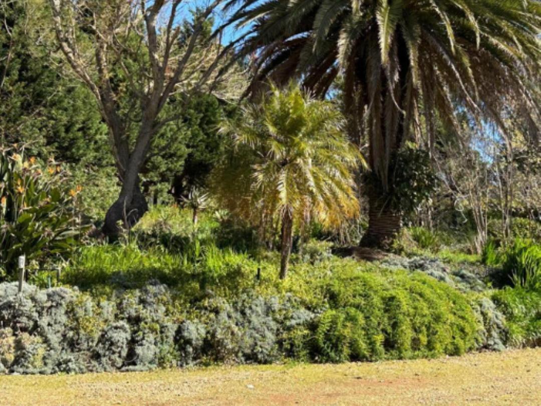 Villa Madajo à Stellenbosch Extérieur photo
